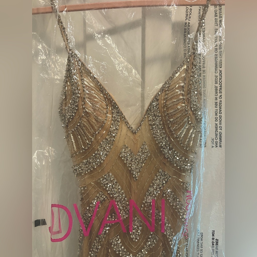 Rhinestone Jumpsuit
Long flowy rhinestone embroidery & mesh